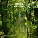 37 Fotozirkel Mannheim e.V. Gise Kraas